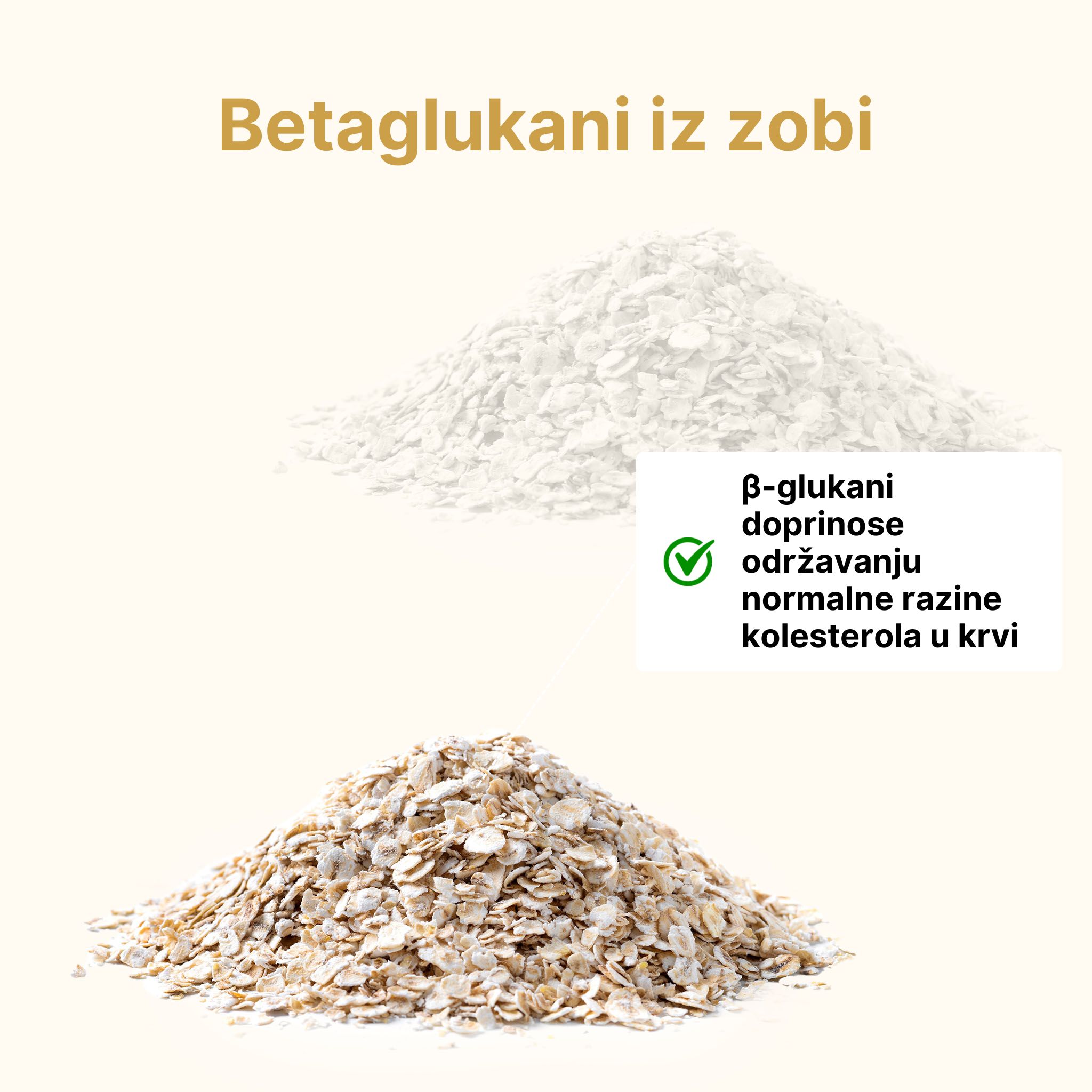 (Chorvatština) - 2024-11-02T105340.821